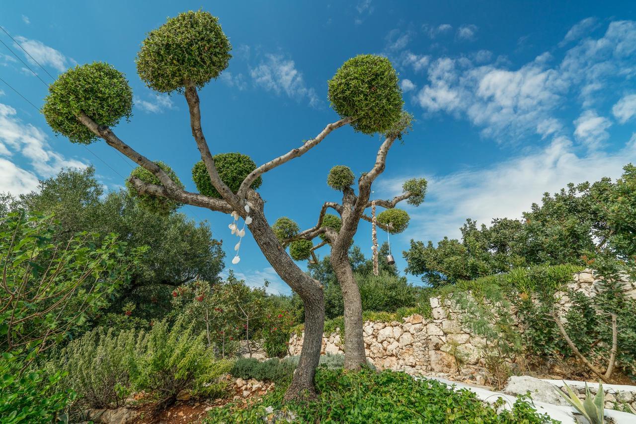 Askos Stone Villa - The Island Panorama Ayos Nikolaos Dış mekan fotoğraf